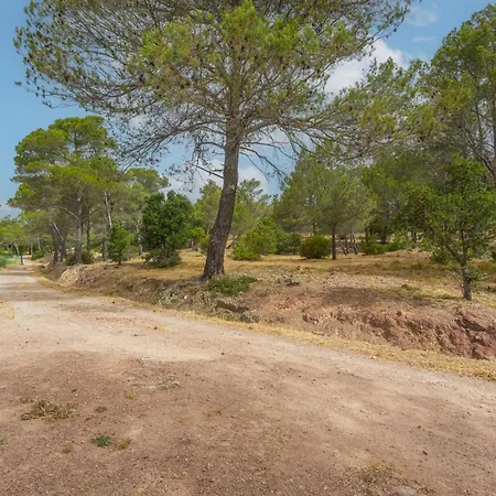 Dans Bonheur Apartman