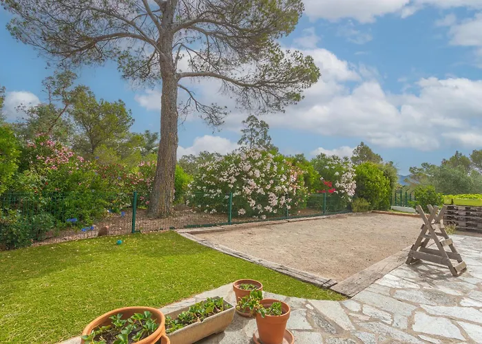 Dans Bonheur Apartament