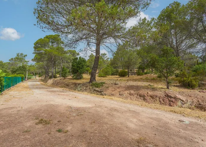 Dans Bonheur Apartament